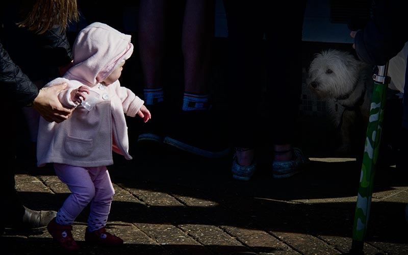 6 Ways to get Your Dog Ready for Your Baby