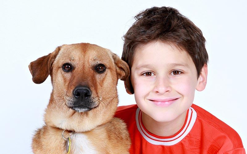 Pet4CPR, What it is about.