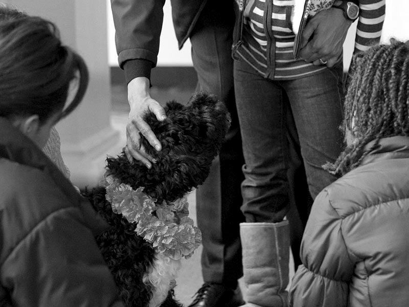 Family of Four Discounted Pet CPR and First AidCourse